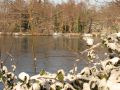 Vorstau im Winter Bild 2