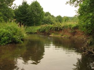 Zielwerfen Erft mit naturnahem Verlauf