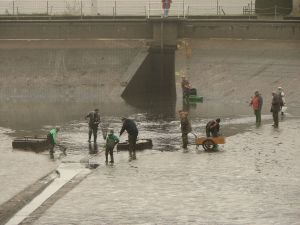 Im seichten Wasser werden die Fische abgefischt