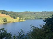 Mitten im Nationalpark Eifel.jpg